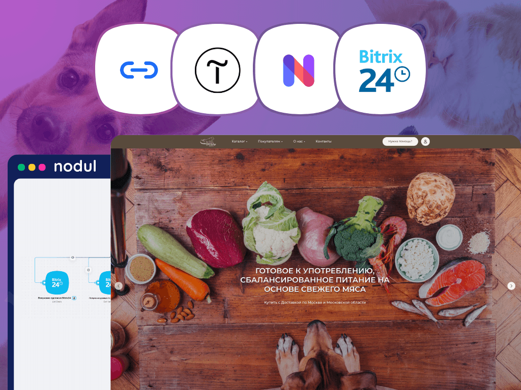 Как компания Do Way создала личный кабинет и реферальную программу на Tilda с помощью Collabza и Nodul